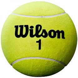 Tenisová loptička Wilson Roland Garros 5