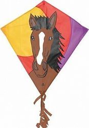 Invento – Eddy Bronco kôň 68 × 68 cm